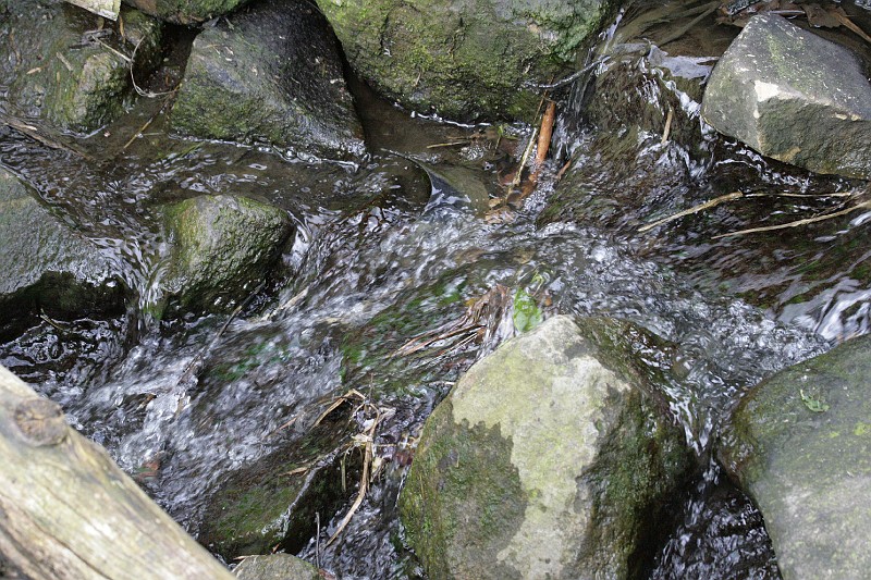 Fotoclubje Blijdorp 2008-105.jpg